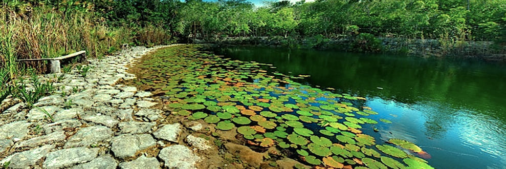 puerto-morelos